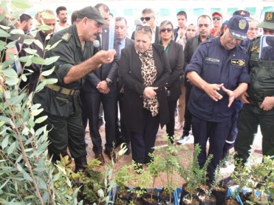 journee nationale de l'arbre