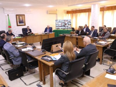 اجتماعًا تنسيقيًا عن طريق تقنية التحاضر المرئي عن بُعد مع السيدات والسادة الولاة اجتماعًا تنسيقيًا عن طريق تقنية التحاضر المرئي عن بُعد مع السيدات والسادة الولاة