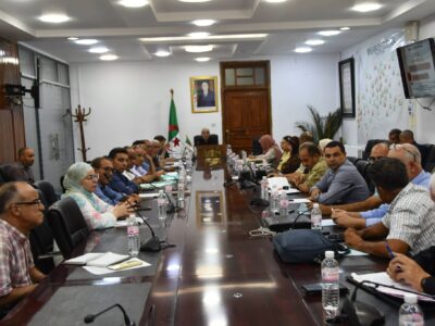 الدراسات الخاصة ببعض المشاريع